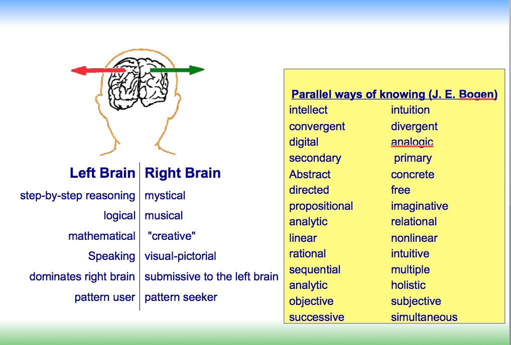 Proses Pembelajaran Menurut Dominasi Otak kanan dan kiri